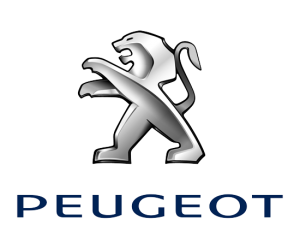 big_Peugeot_logo_2010